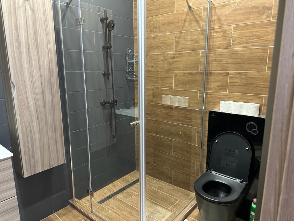 בודפשט Lizu Apartmant מראה חיצוני תמונה